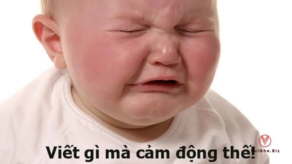 Ảnh vui nhộn tải ngay về làm meme chêu bạn bè 